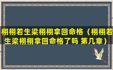 栩栩若生梁栩栩拿回命格（栩栩若生梁栩栩拿回命格了吗 第几章）